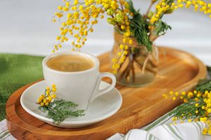 Read more about the article The Art of Conscious Consumption