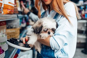 Read more about the article Living Well Is a Series of Small Choices